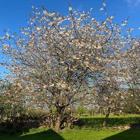 Frühstückspension Les Embreoles Clitourps